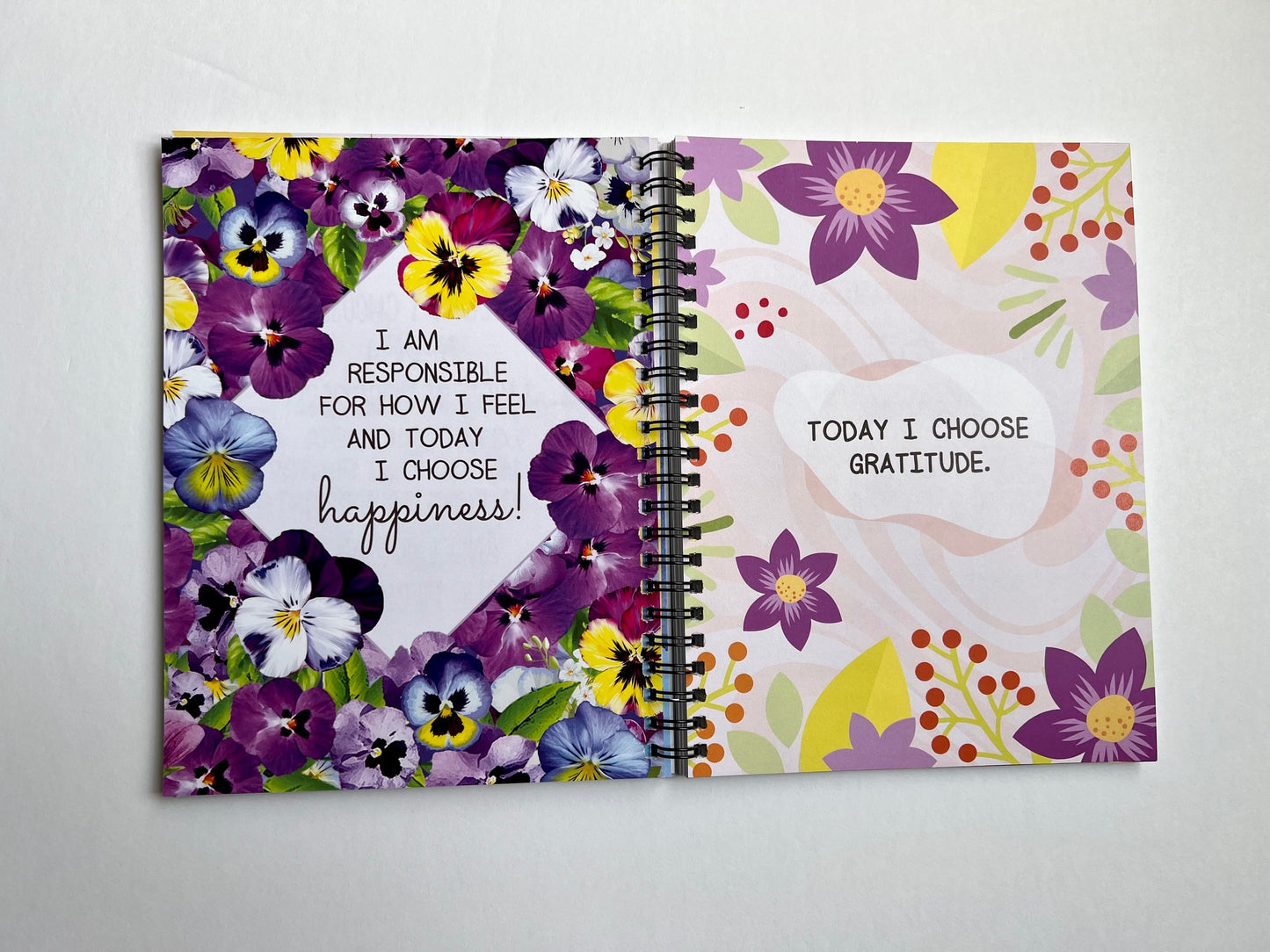 Today I Choose journal